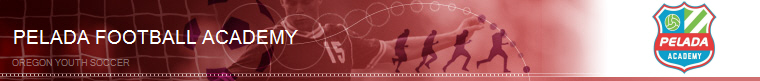 Pelada Football Academy banner